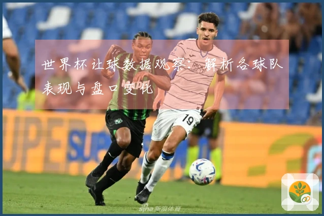 世界杯让球数据观察：解析各球队表现与盘口变化