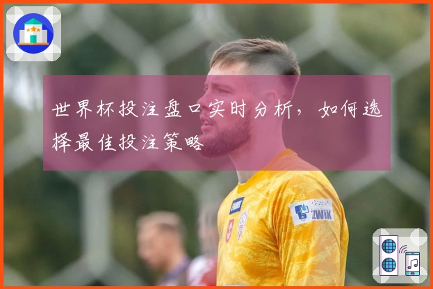 世界杯投注盘口实时分析，如何选择最佳投注策略