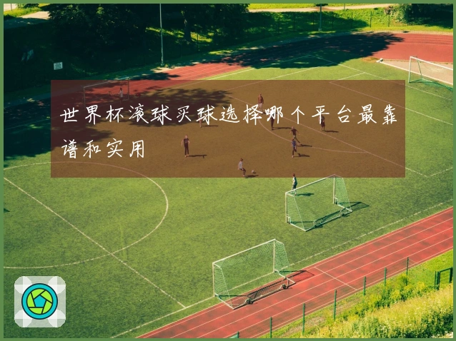 世界杯滚球买球选择哪个平台最靠谱和实用