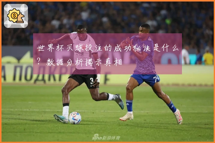 世界杯买球投注的成功秘诀是什么？数据分析揭示真相