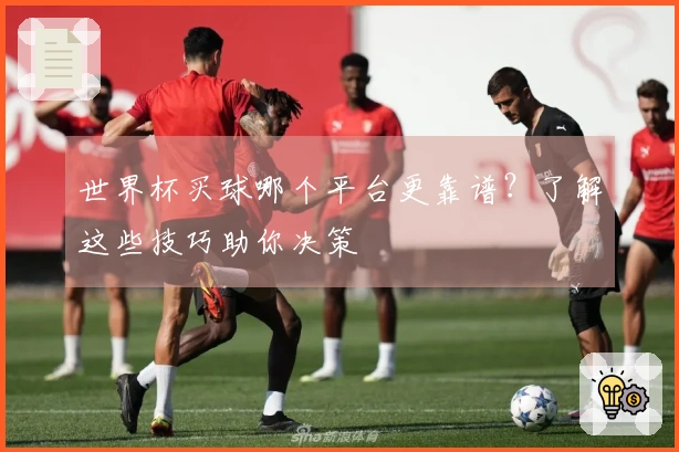 世界杯买球哪个平台更靠谱？了解这些技巧助你决策