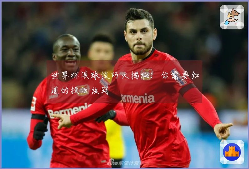 世界杯滚球技巧大揭秘：你需要知道的投注诀窍