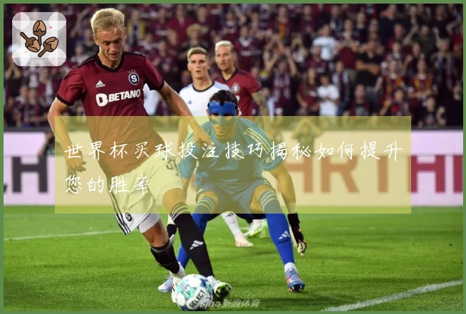 世界杯买球投注技巧揭秘如何提升您的胜率