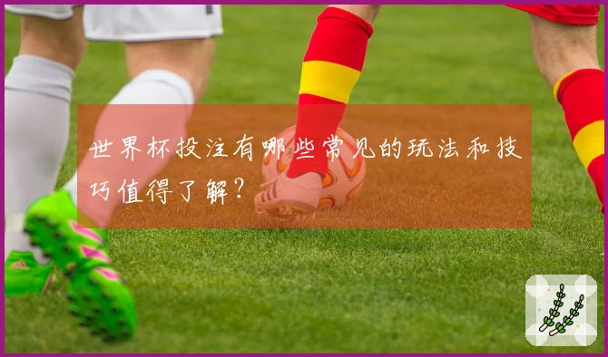 世界杯投注有哪些常见的玩法和技巧值得了解？